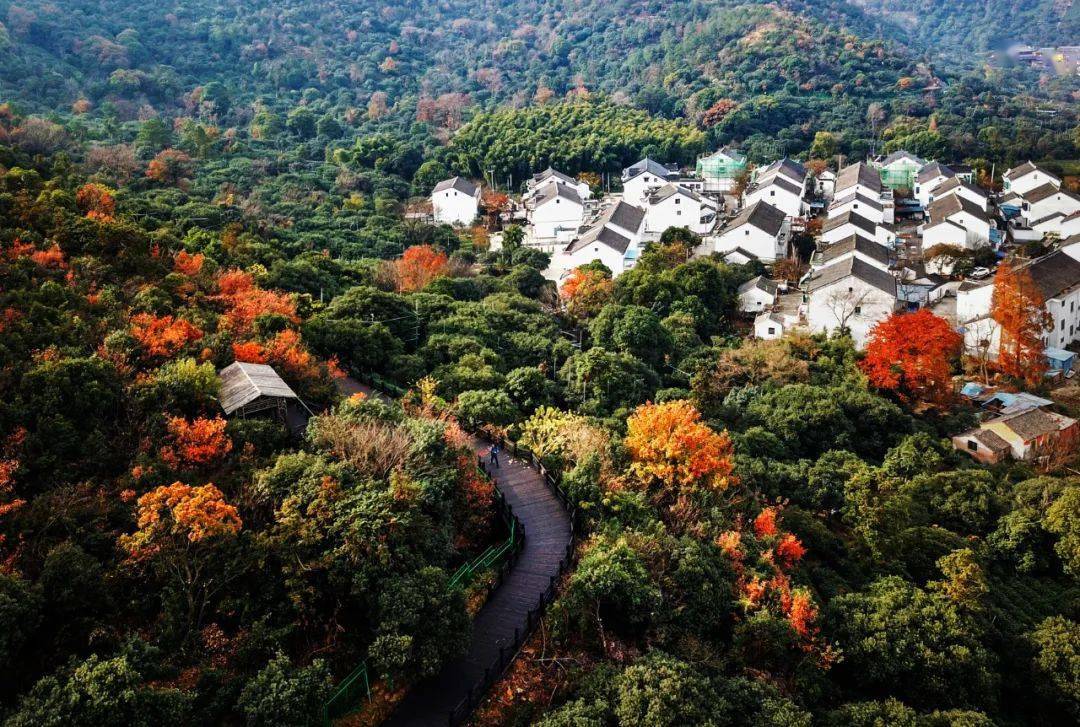 美好乡村  第十一届江苏省乡村旅游节 在苏州高新区通安镇树山村