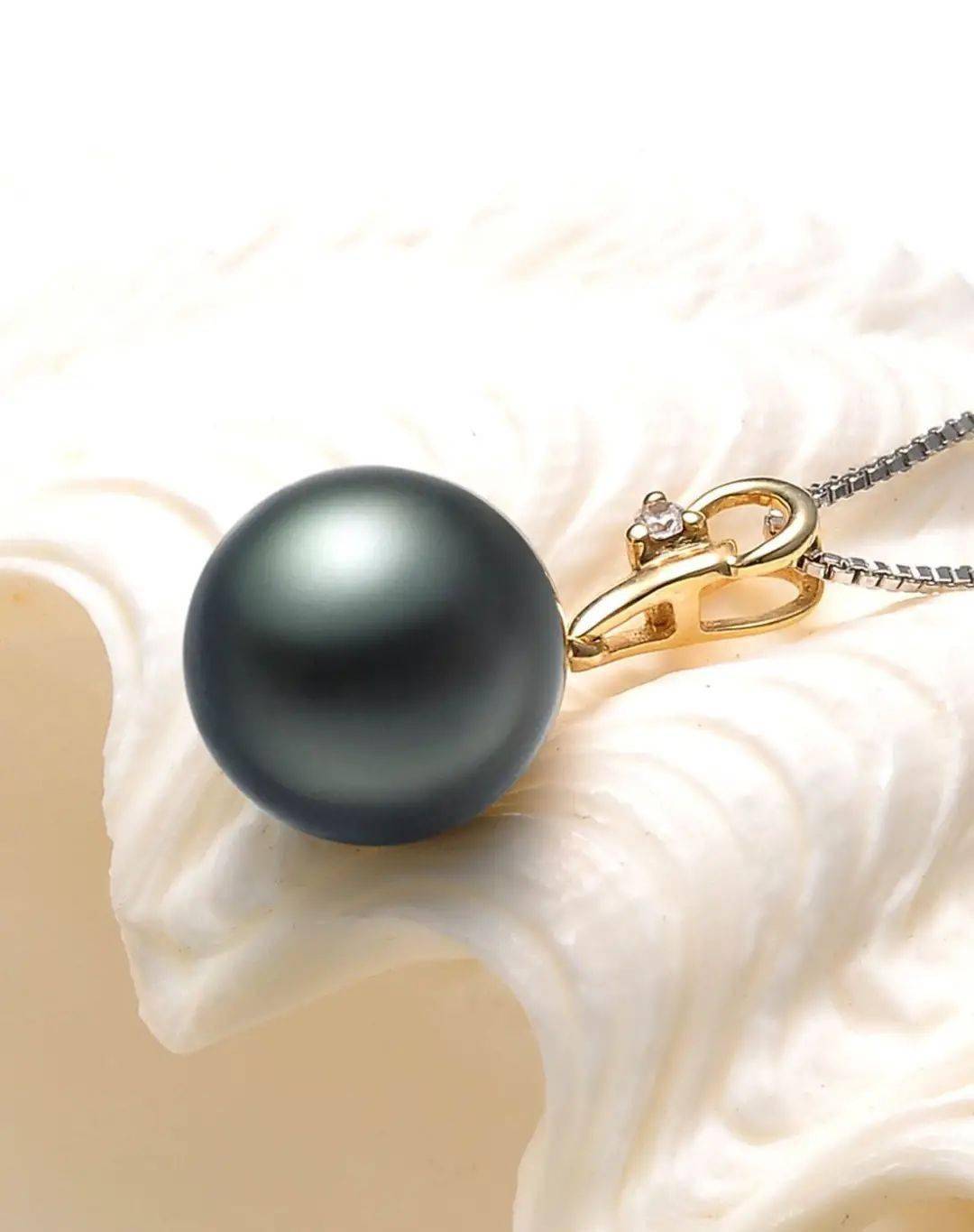 贵上天|一顿100块的饭吃出了三五万的紫色珍珠，真是赚大了！彩色珍珠真的要贵上天？