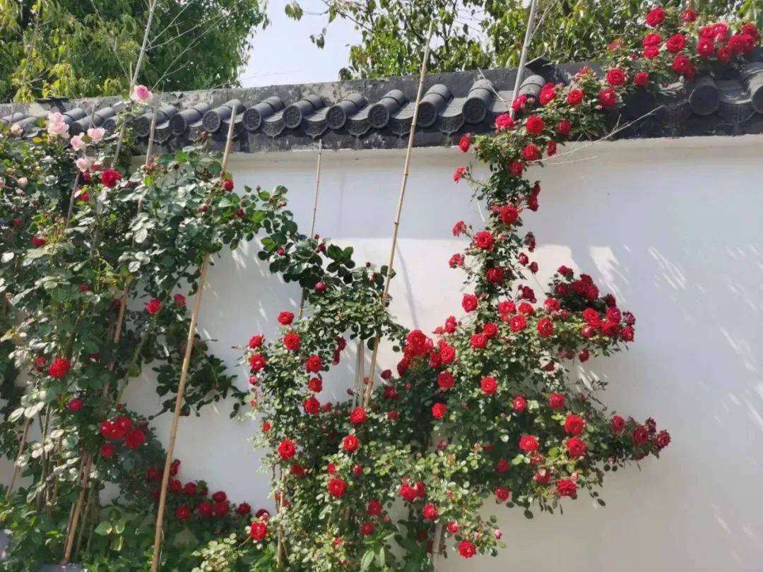 烧烤|秋天的第一次郊游！