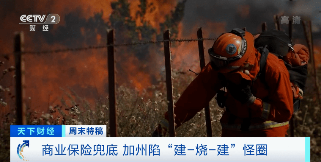 山区|史无前例！50万人紧急撤离！美国山火越烧越烈，为何大批人还涌向山区建房？