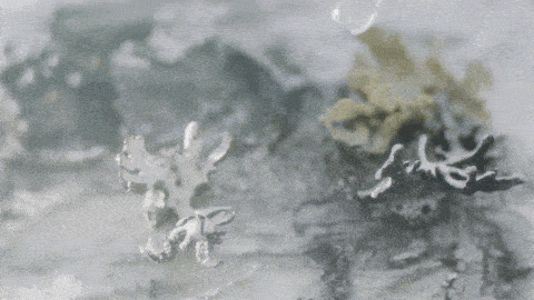 肌肤|别人换季先换装,我却先换脸?