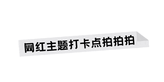 750㎡超大屋顶花园 拥有魔都首屈一指的多肉植物森林 不定期超多精彩