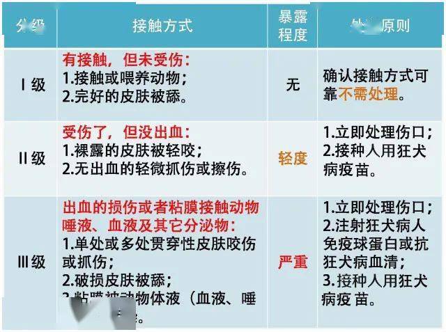 接种|世界狂犬病日 | 被狗咬伤如何处置才规范呢？