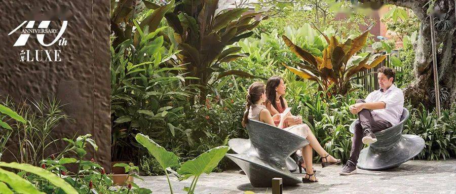 �����»���