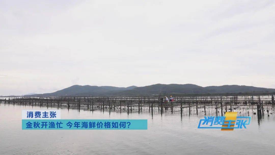 养殖|别再认错了！只有这样的生蚝能生吃