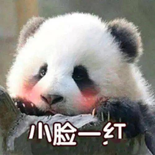 vlog|赵露思！我，我喜欢你！