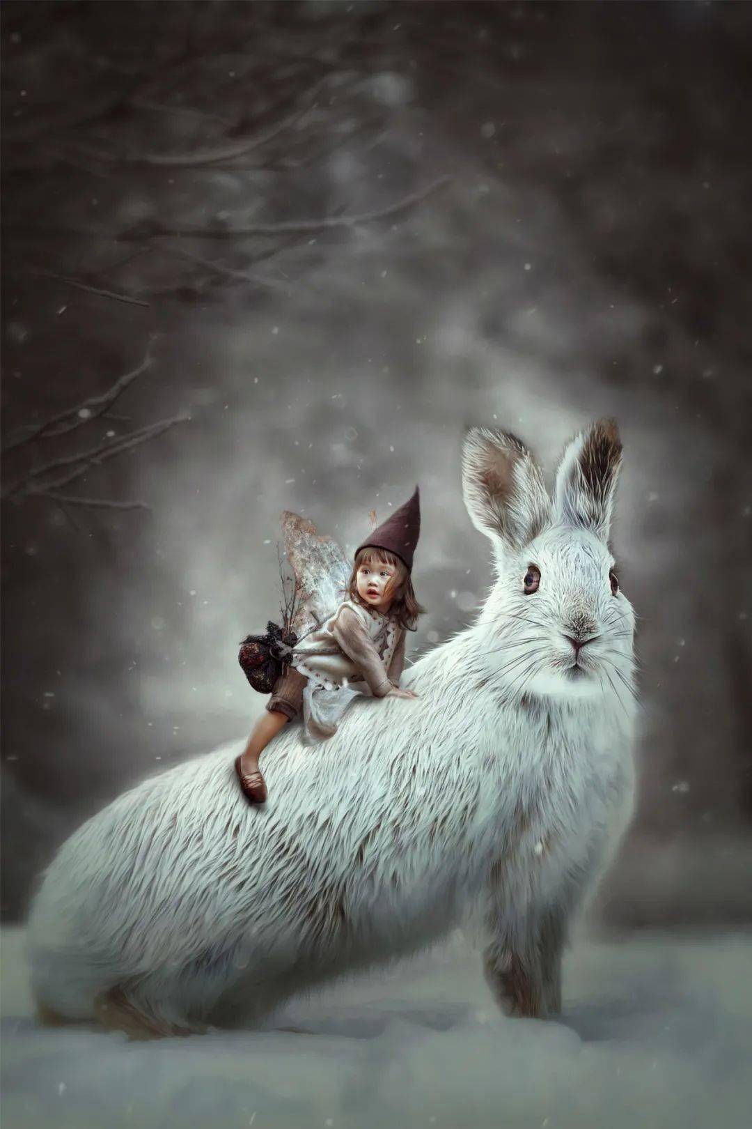 访谈|茄子访谈 | 小单摄影,享受一张照片从无到有的过程