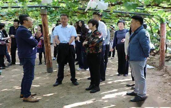 自8月25日密云区太师屯镇与朝阳区建外街道对接一个月以来,双方积极