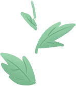 食堂|【SHU·一点灵息】上大食堂 你来pick