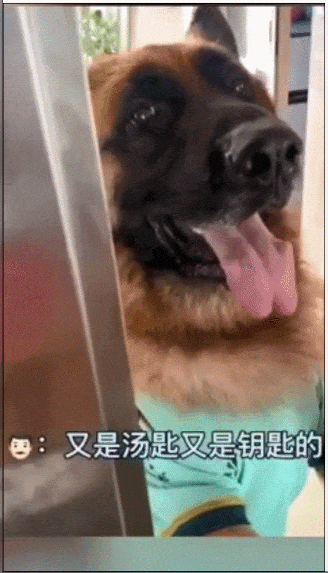 466_814 竖版 竖屏