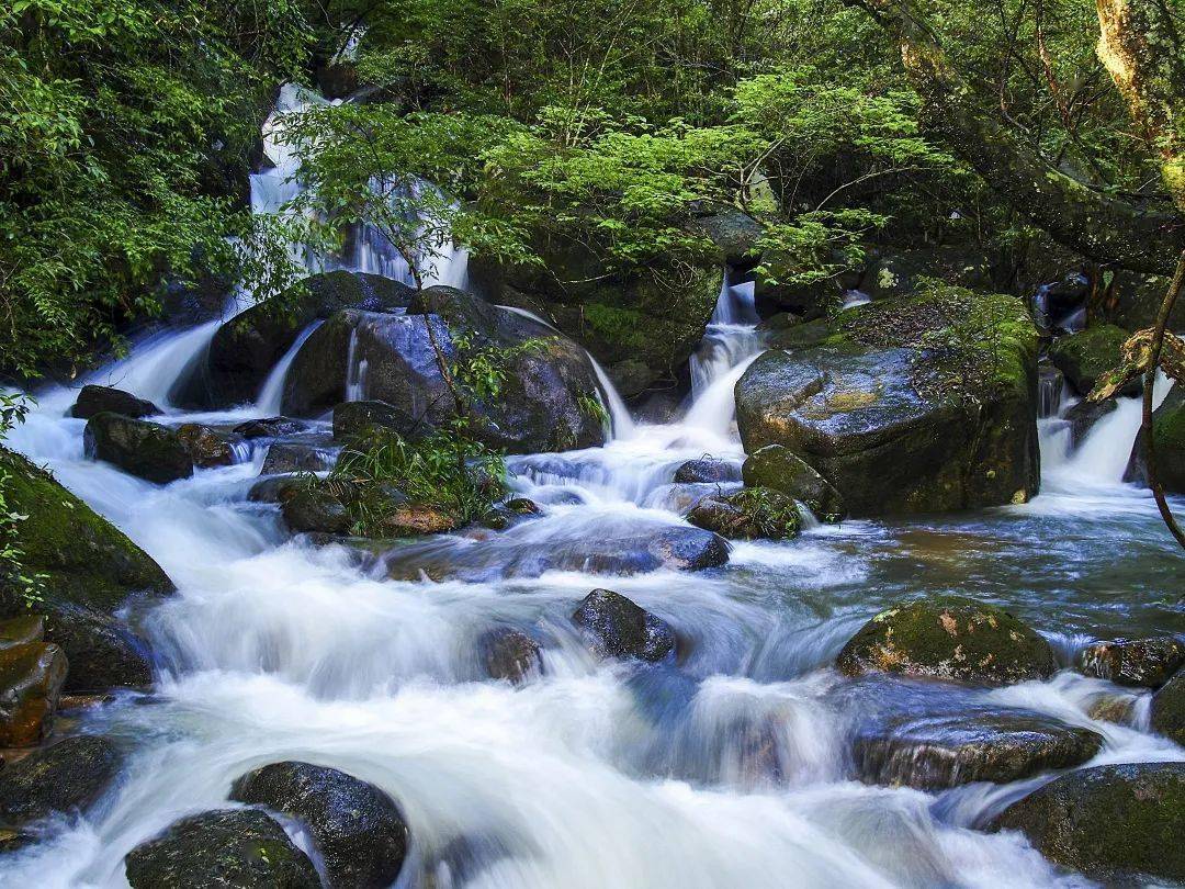 闽北美景|顺昌华阳山:传闻山中有"仙灵"之气,来到这里