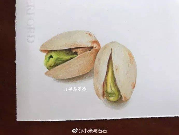 彩铅画入门教程 | 坚果步骤图,适合新手临摹的彩铅画