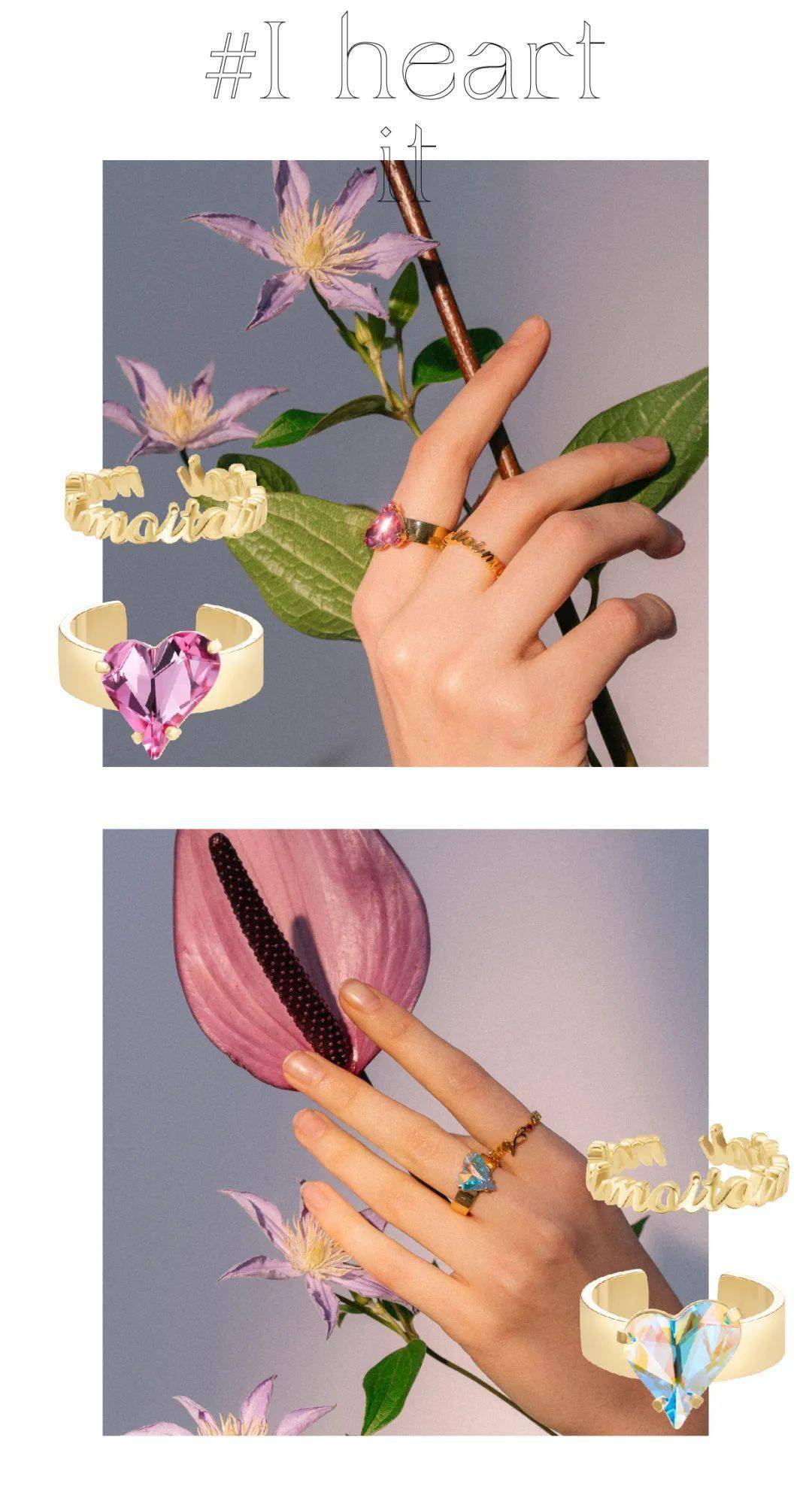 玫瑰|OOAK | 快乐蓄势待发