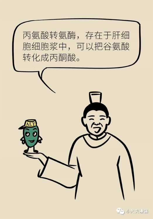 转氨酶|肝功转氨酶高就是肝硬化？未必！这几个指标才是重点