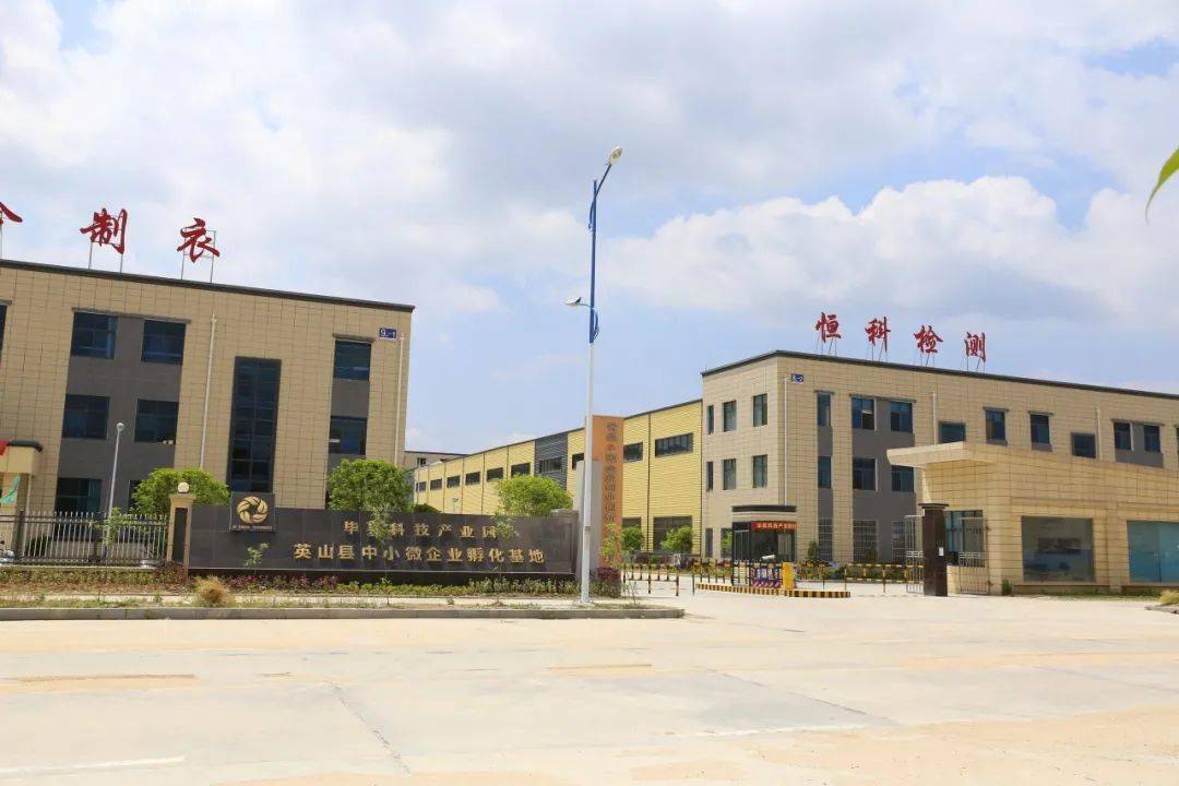 英山GDP_英山缠花(2)