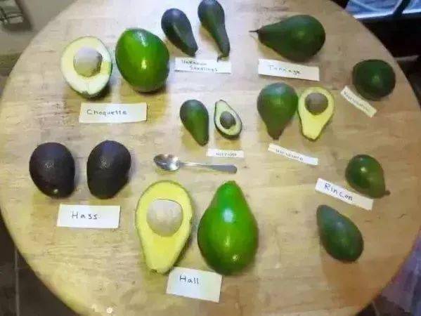 换季|连续3年卖空的牛油果霜 ！啥换季脸干都不怕，连我爸都偷偷涂 ！