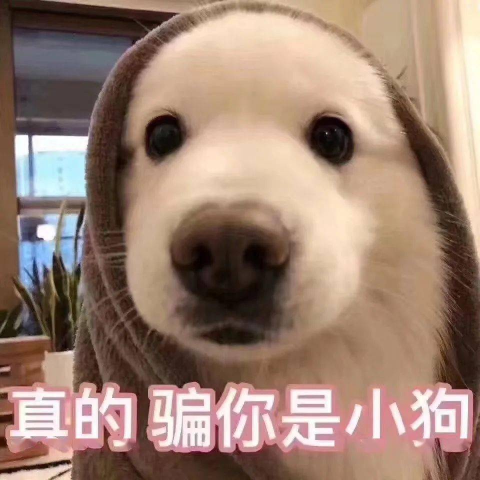 头发|换发型=换张脸！这3个瘦脸发型超！简！单！