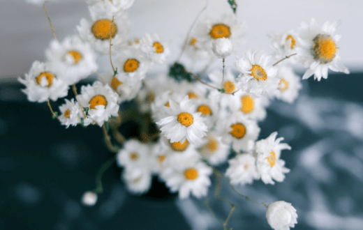 丈夫|秋天第一场失恋来了！原来石原里美撩到丈夫靠这个