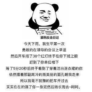 c6cfc35f7acb4b49811bdde69e13fc74.jpeg