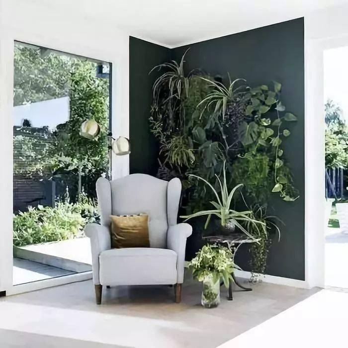 结构|家再小，也能建造的这些小花园！