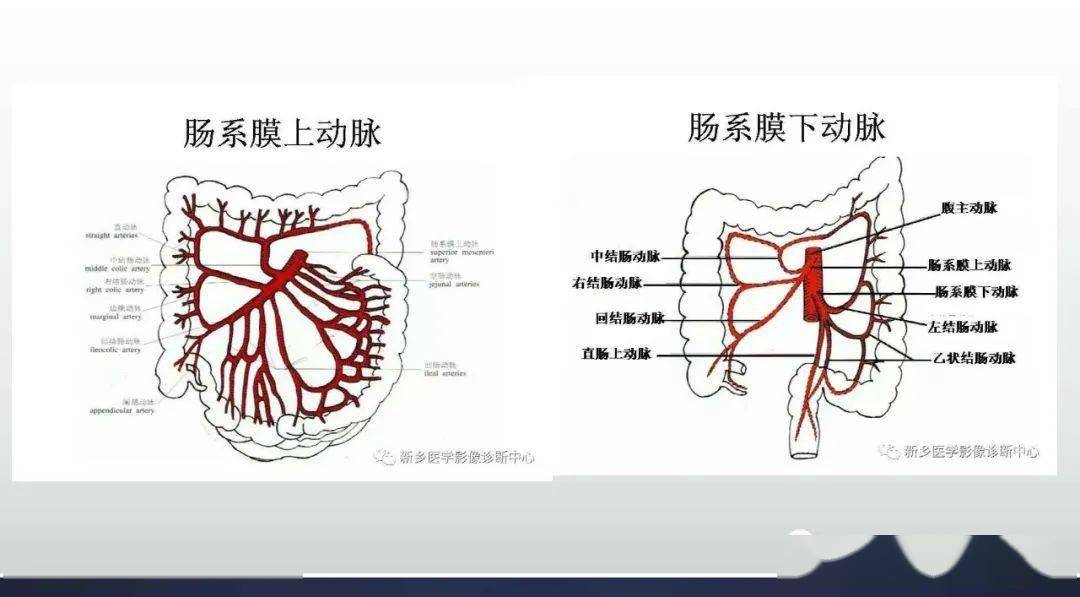 腹腔丨腹内疝_乙状结肠