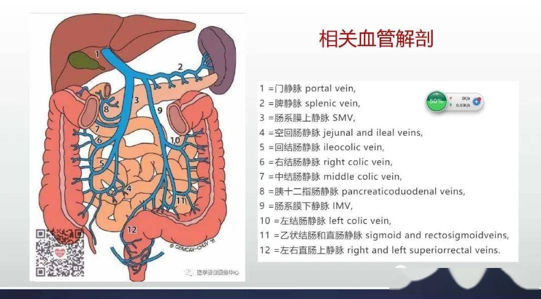 腹腔丨腹内疝_乙状结肠