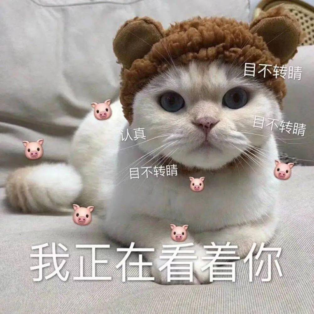 表情包 | 热爱生活 也爱你