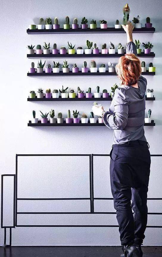 结构|家再小，也能建造的这些小花园！