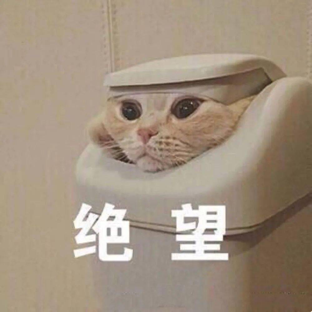 表情包 | 热爱生活 也爱你