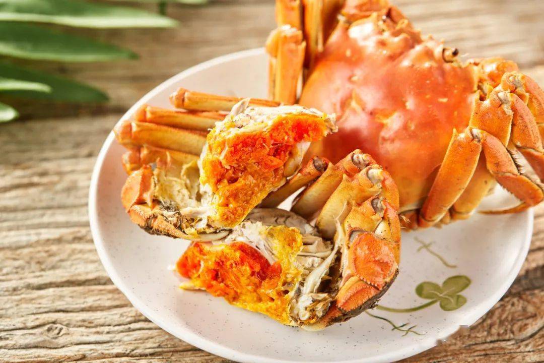 阳澄湖|什么是好吃的大闸蟹！咬一口“biu~”爆膏流黄15年老蟹农告诉你