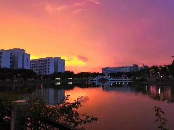 校区|看哭！广东“最没存在感”公办大学！这几所也在榜？