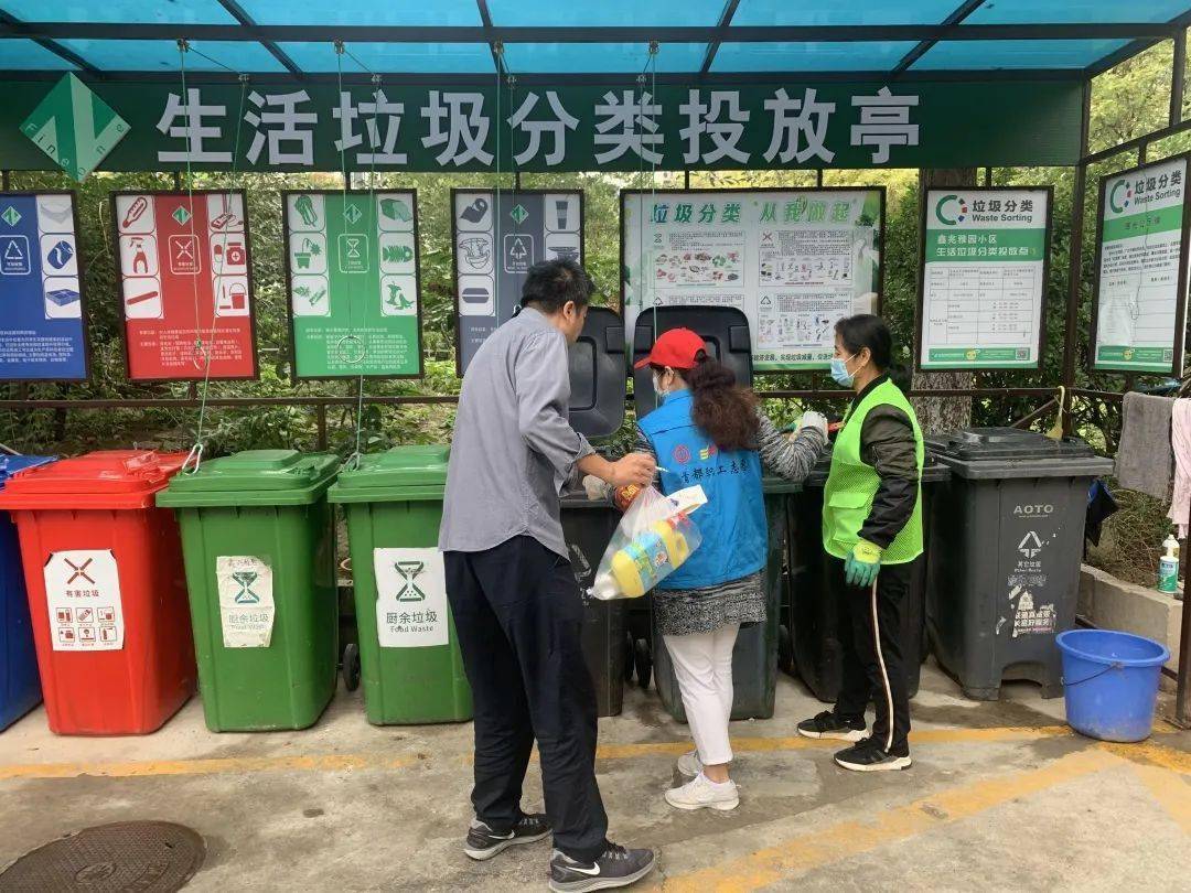 县区动态青秀区试点小区垃圾分类显成效