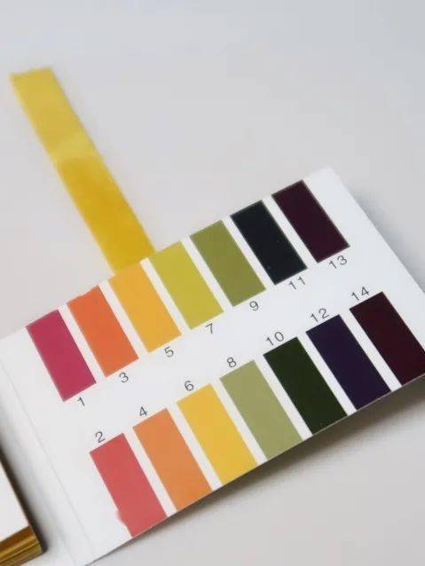 面膜|从内衣模特到老戏骨 如今她只能靠Angelababy搏关注？