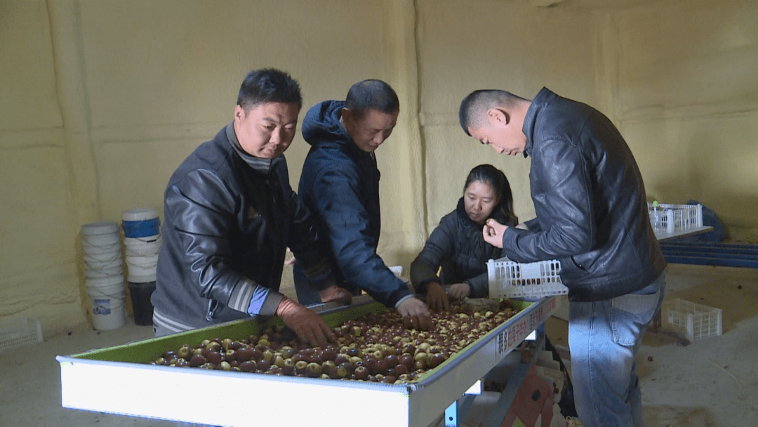 
【关注】五师双河市：“互联网+”让农产物销售更流通：火狐电竞官方网站(图15)