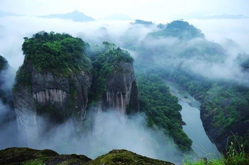 修吾武夷山茶文化游学