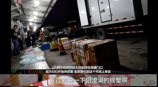 螃蟹|99%是冒牌货：吃到一只正宗阳澄湖大闸蟹，到底有多难？