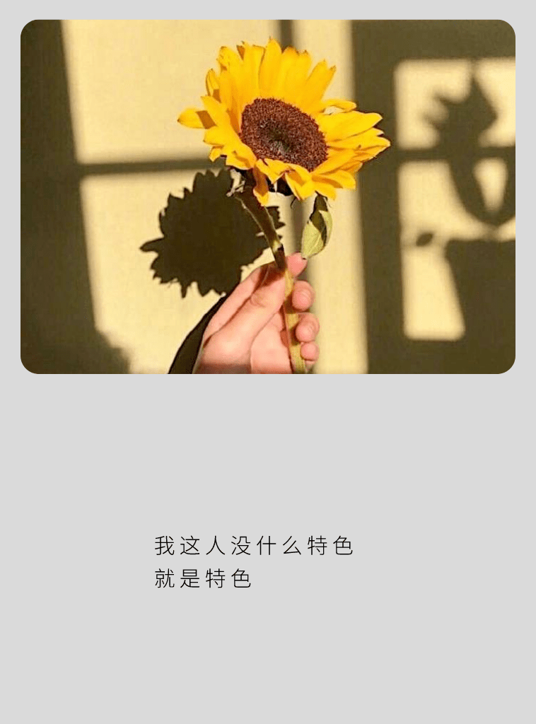 头像|一想到你呀,就让我快乐