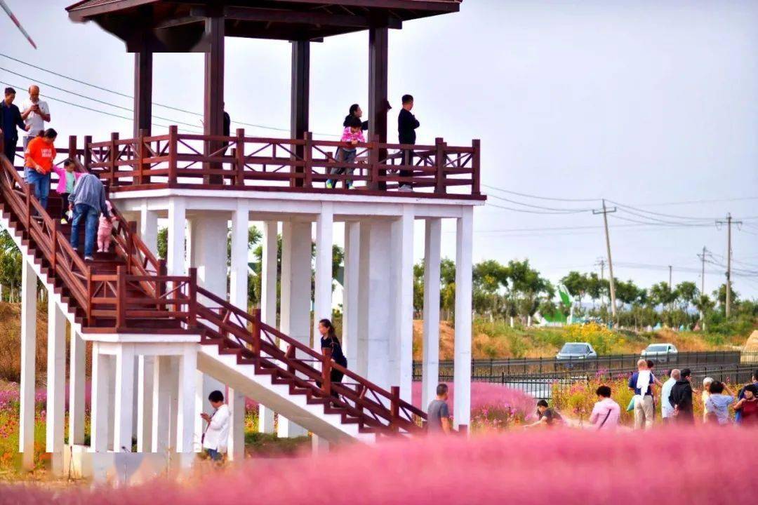 不少人跑去打卡 小编的朋友圈都被刷屏了 这里就是—— 黄山馆镇的 花