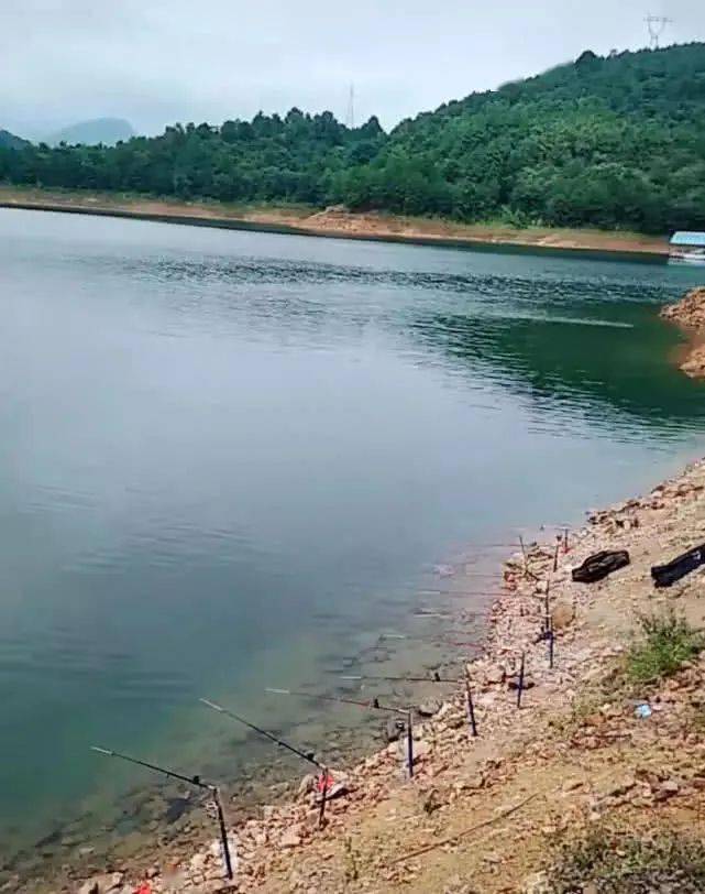 影响|共分为三个步骤钓大鱼的老玉米窝料制作方法