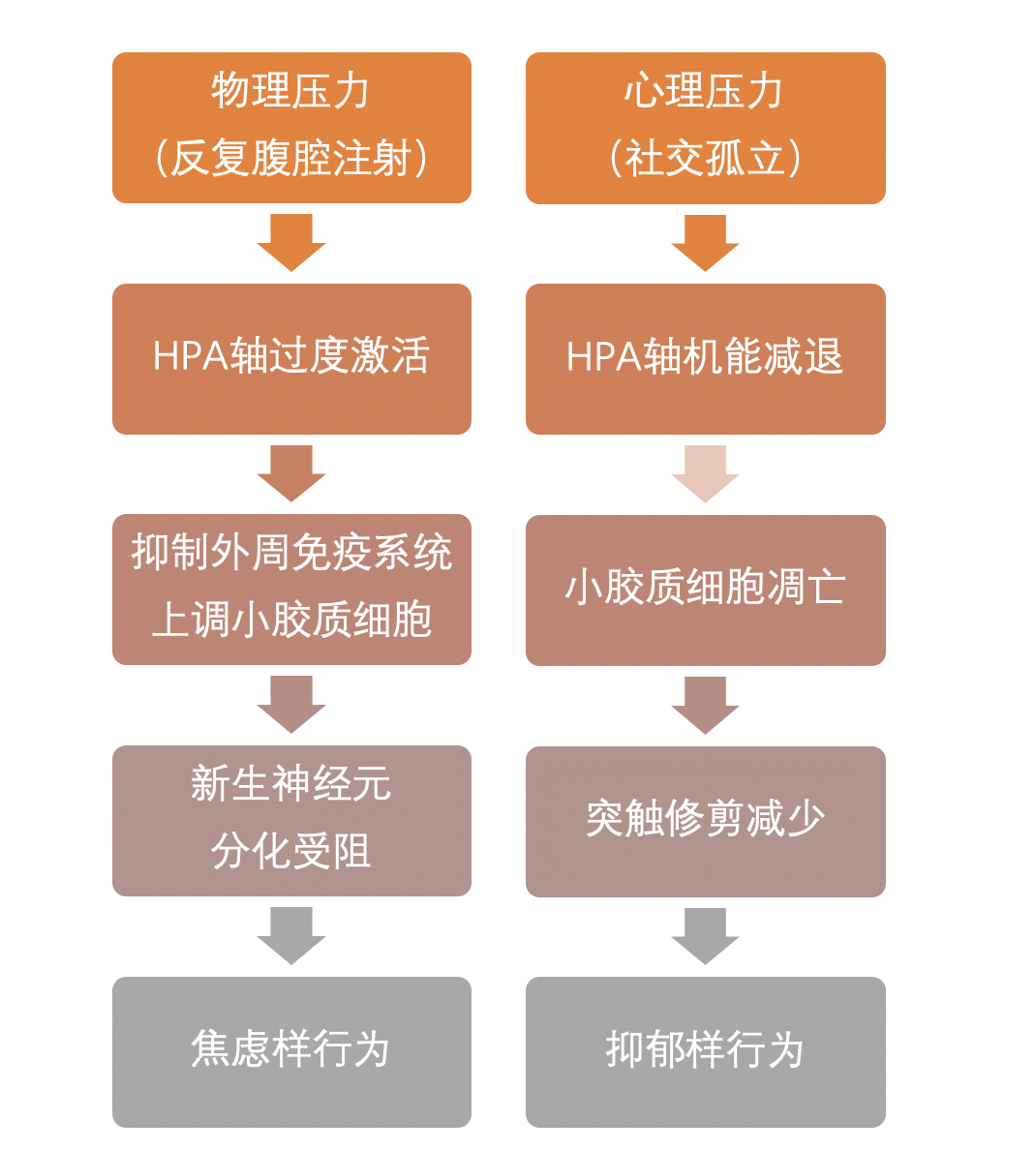 人口研究等级_人口普查图片(3)