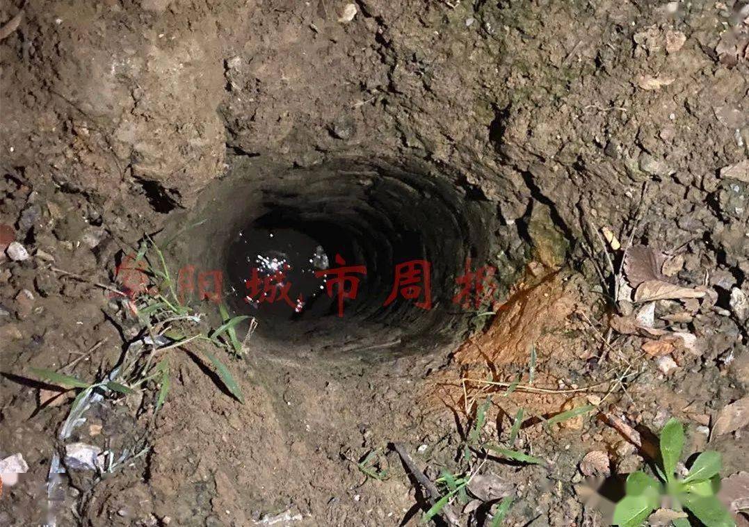 只顾追着球跑  一不小心他掉进了 一个 用来埋电线杆的深坑里 临泉县