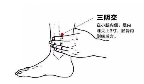 【厥阴俞穴】厥阴俞穴的位置:厥阴俞穴位于人体的背部,当第4胸椎棘突