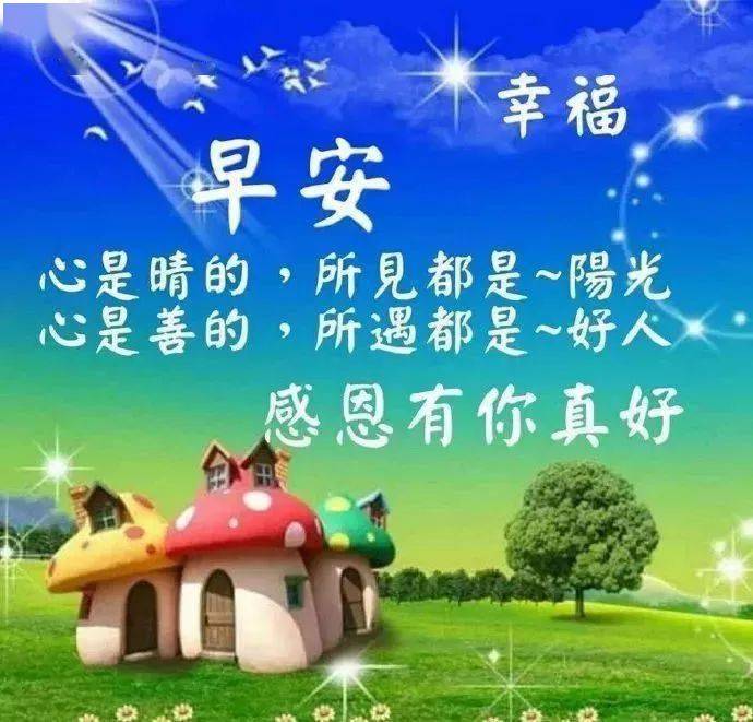 情什么谊什么的成语_sine信谊是什么药(3)