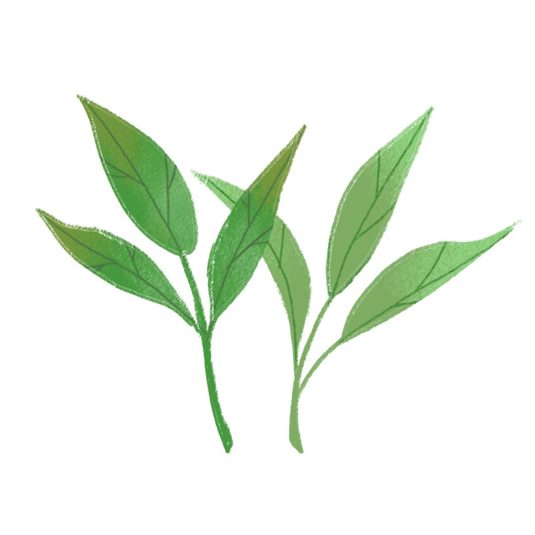 味道|你泡的茶 水的味道重吗?