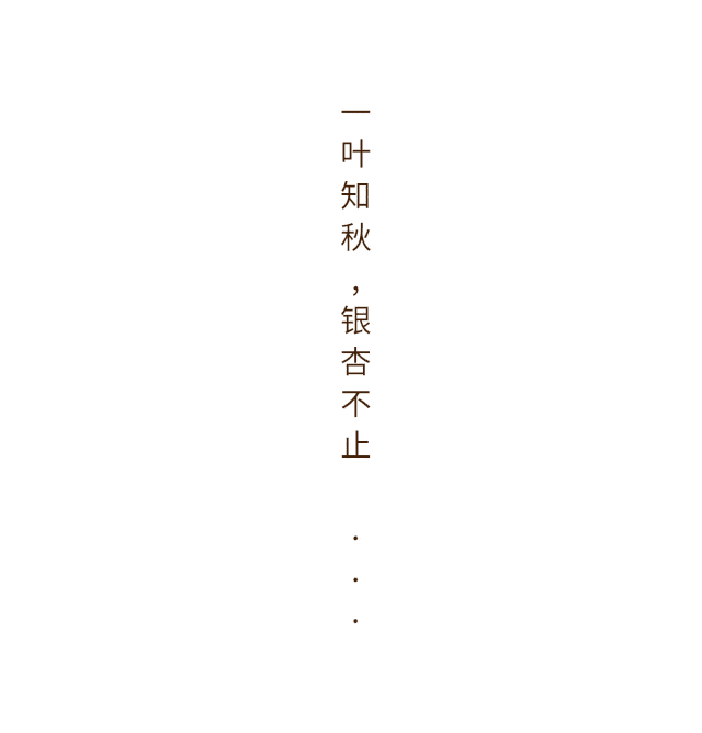 成人赠送2斤高山番薯!
