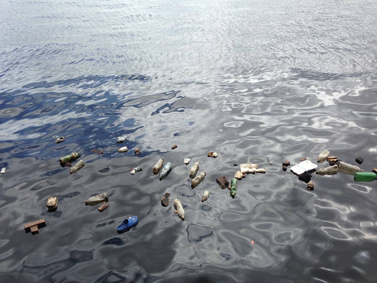 结果表明,全球深海中约有1400万吨该类污染物,预计是海洋表面塑料污染