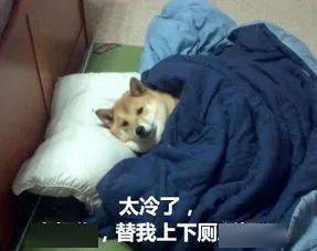 aaa91b17fe234d04be1a5d142ac76d01.jpeg