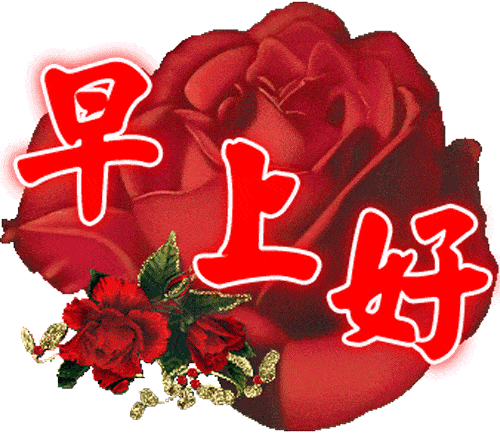 群发早上好问候祝福表情动态图片,温馨早安祝福语录精选