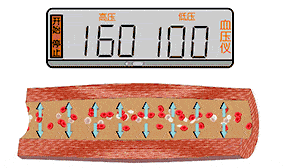 246cc8d0de36420ca238f5766f6fa8e2.gif