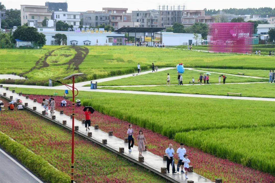 茂名GDP2020_2020好心茂名绘画(2)